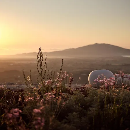 Segreto Del Lusso * Lagópodhon